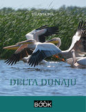 Ebook Delta Dunaju