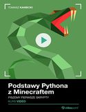 Ebook Podstawy Pythona z Minecraftem. Kurs video. Piszemy pierwsze skrypty