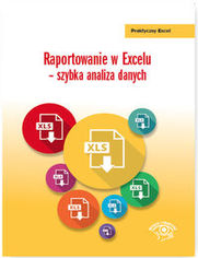 Raportowanie w Excelu szybka analiza danych