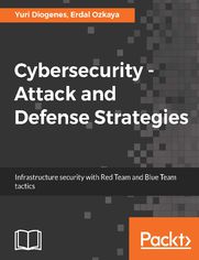 Cybersecurity  Attack and Defense Strategies
