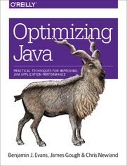 Optimizing Java. Practical Techniques for Improving JVM Application Performance