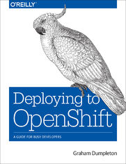 Deploying to OpenShift. A Guide for Busy Developers