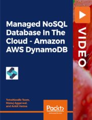 Managed NoSQL Database In The Cloud - Amazon AWS DynamoDB. Work with tables, partition, indexes, encryption, and database administration in the AWS Cloud with AWS DynamoDB