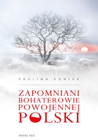 Ebook Zapomniani bohaterowie powojennej Polski 