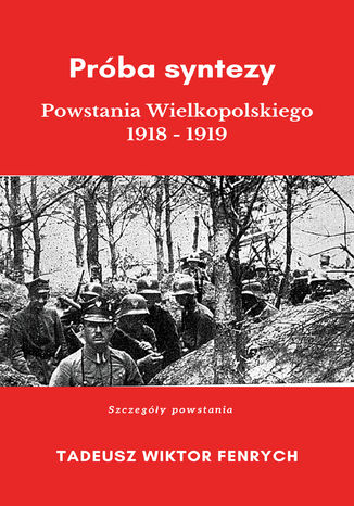 Ebook Próba syntezy Powstania Wielkopolskiego 1918-19