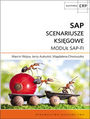 SAP Scenariusze księgowe. Moduł SAP-FI