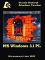 Windows 3.1 PL