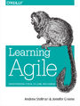 Learning Agile. Understanding Scrum, XP, Lean, and Kanban